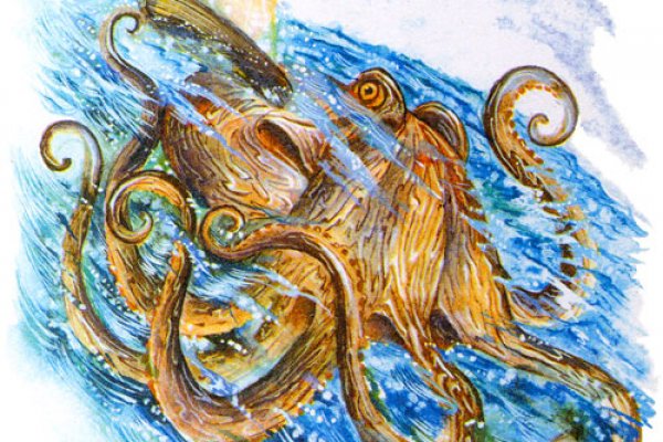 Kraken смылка