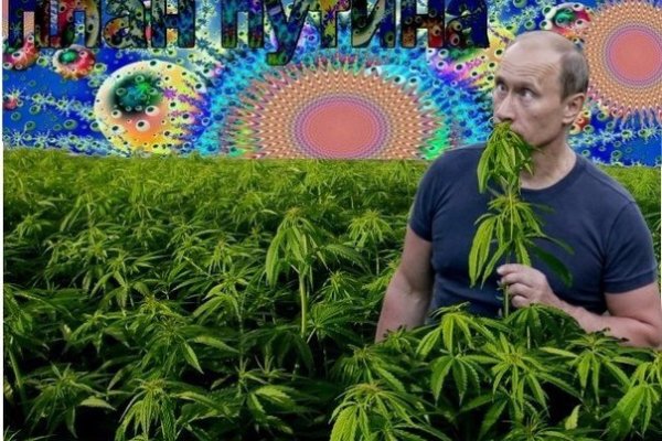 Кракен сайт закладок