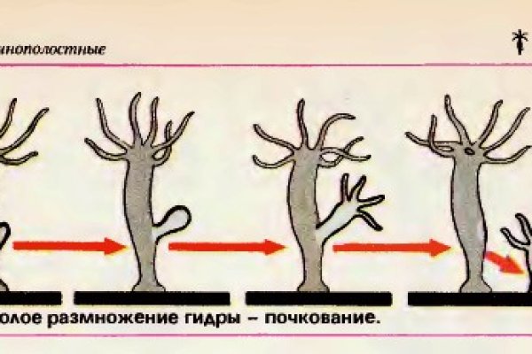 Кракен 15at