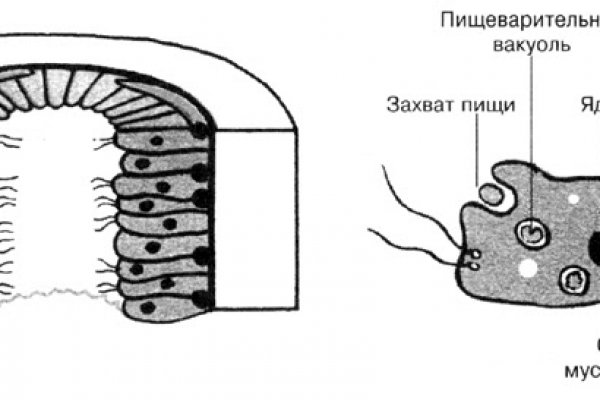 Кракен не работает тор