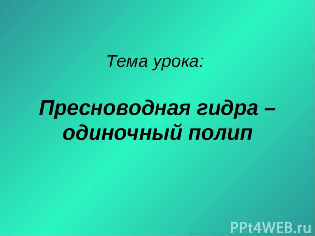 Кракен черный сайт