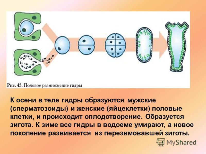 Кракен даркнет регистрация